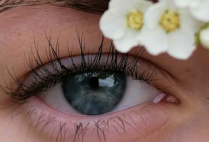 Auge